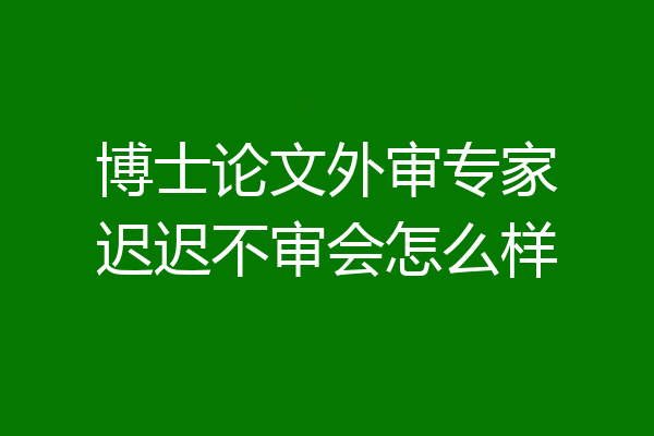 博士论文外审专家迟迟不审会怎么样
