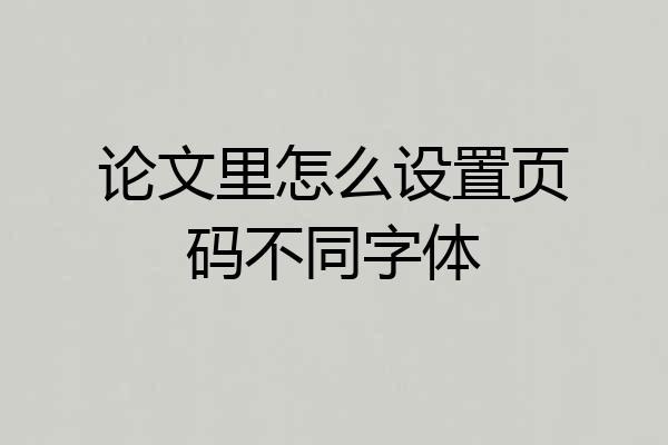 论文里怎么设置页码不同字体