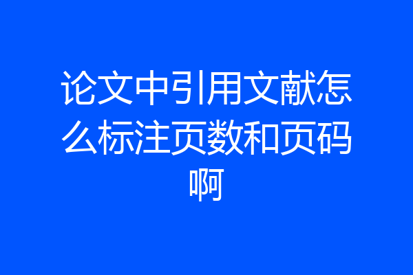 论文中引用文献怎么标注页数和页码啊