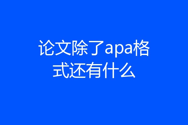 论文除了apa格式还有什么