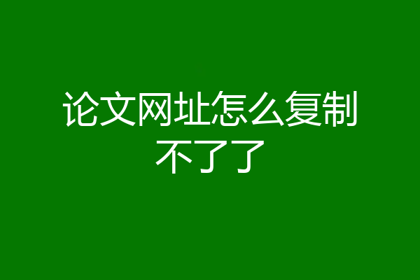 论文网址怎么复制不了了