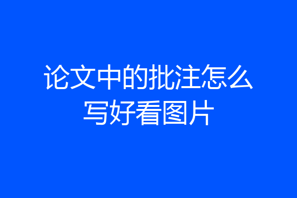 论文中的批注怎么写好看图片