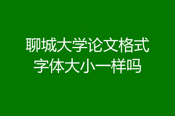 聊城大学论文格式字体大小一样吗