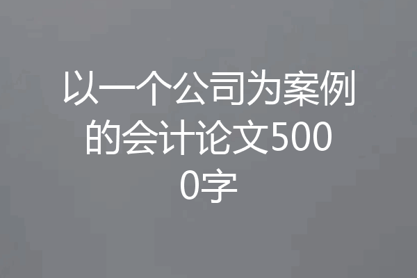 以一个公司为案例的会计论文5000字