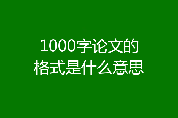 1000字论文的格式是什么意思