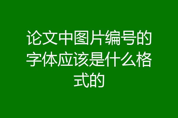 论文中图片编号的字体应该是什么格式的