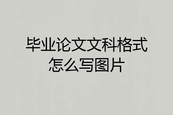 毕业论文文科格式怎么写图片