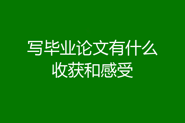 写毕业论文有什么收获和感受