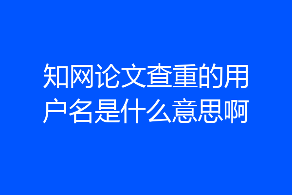 知网论文查重的用户名是什么意思啊