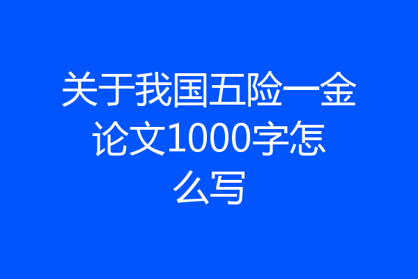 关于我国五险一金论文1000字怎么写