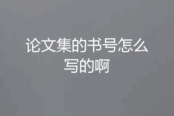论文集的书号怎么写的啊