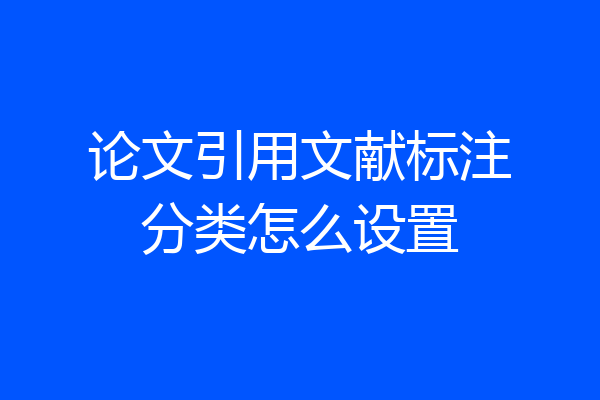 论文引用文献标注分类怎么设置