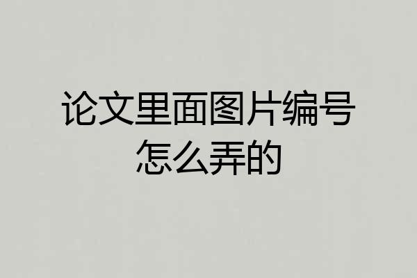 论文里面图片编号怎么弄的