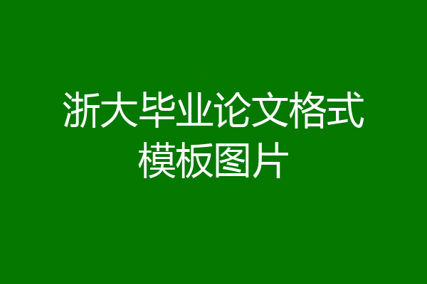 浙大毕业论文格式模板图片