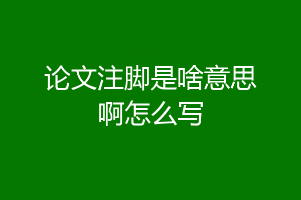 论文注脚是啥意思啊怎么写