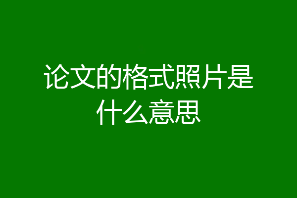 论文的格式照片是什么意思