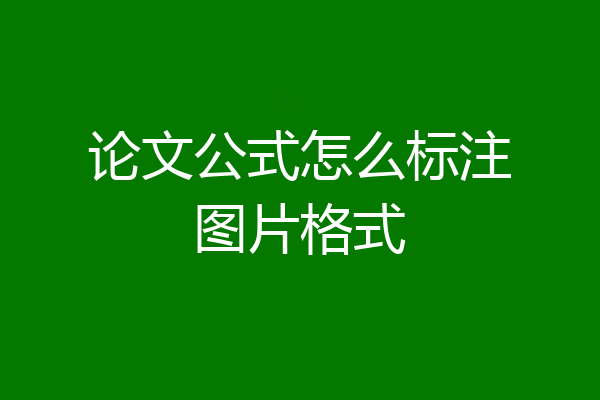 论文公式怎么标注图片格式