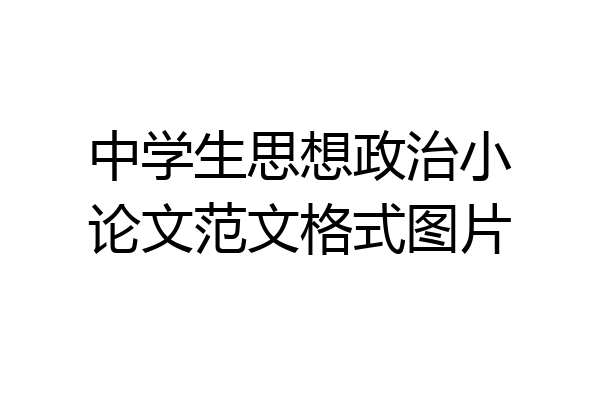 中学生思想政治小论文范文格式图片