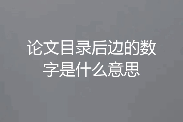 论文目录后边的数字是什么意思