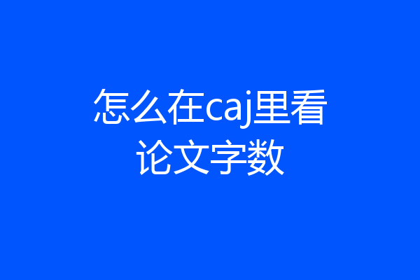 怎么在caj里看论文字数