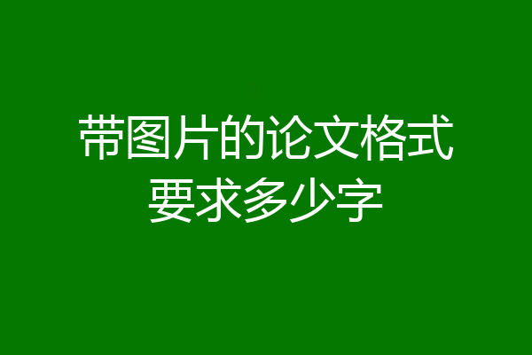 带图片的论文格式要求多少字