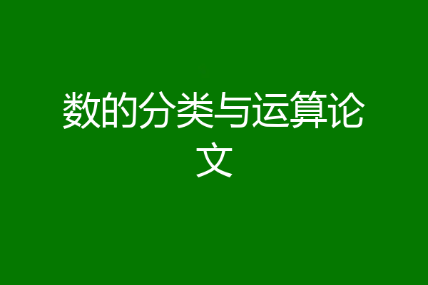 数的分类与运算论文