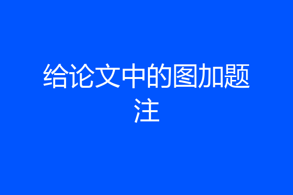 给论文中的图加题注