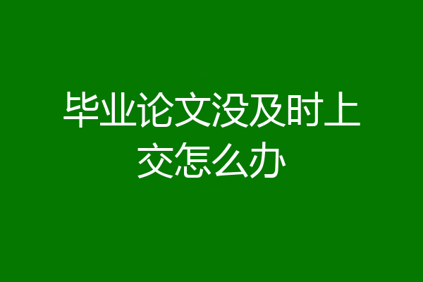 毕业论文没及时上交怎么办