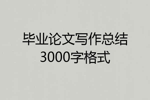 毕业论文写作总结3000字格式