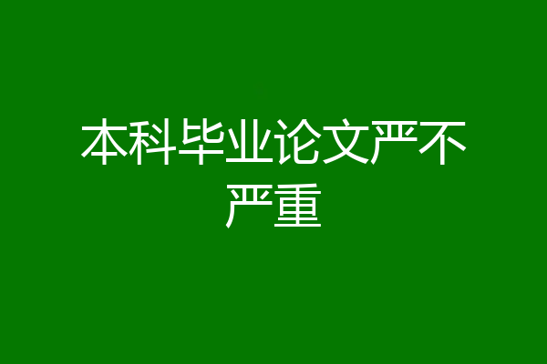 本科毕业论文严不严重