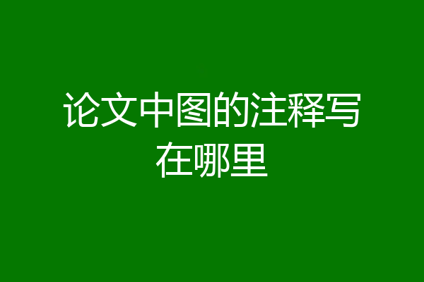 论文中图的注释写在哪里
