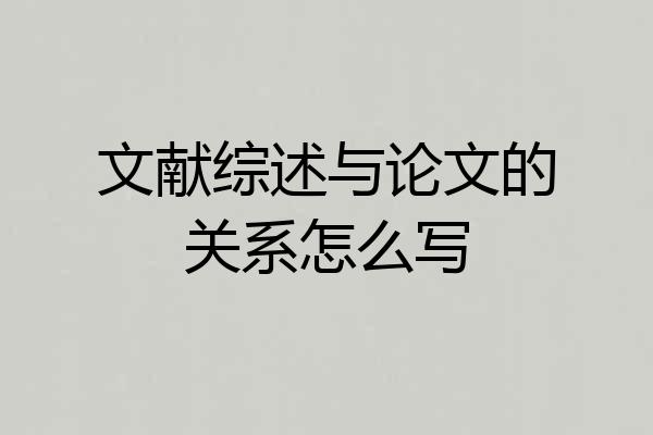 文献综述与论文的关系怎么写