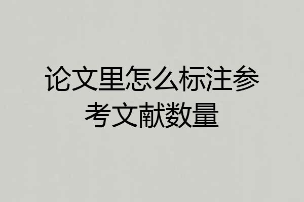 论文里怎么标注参考文献数量