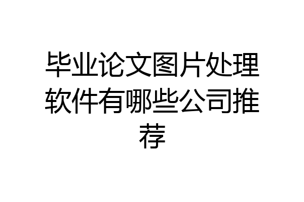 毕业论文图片处理软件有哪些公司推荐
