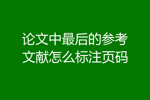 论文中最后的参考文献怎么标注页码