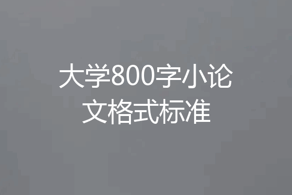 大学800字小论文格式标准