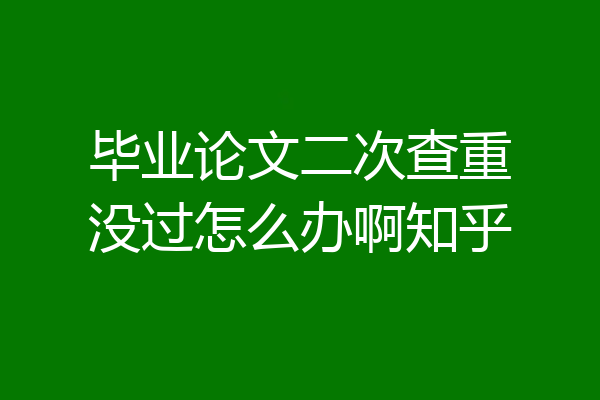 毕业论文二次查重没过怎么办啊知乎