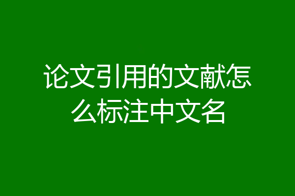 论文引用的文献怎么标注中文名