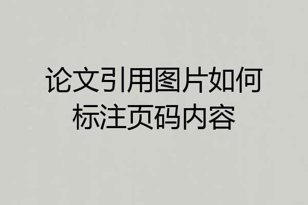 论文引用图片如何标注页码内容