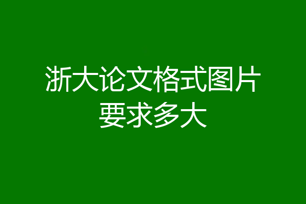 浙大论文格式图片要求多大