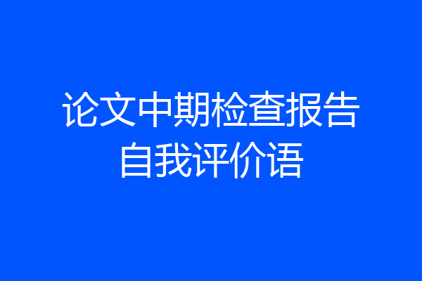 论文中期检查报告自我评价语