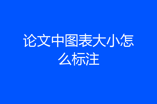 论文中图表大小怎么标注