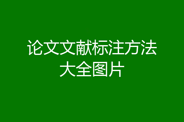 论文文献标注方法大全图片