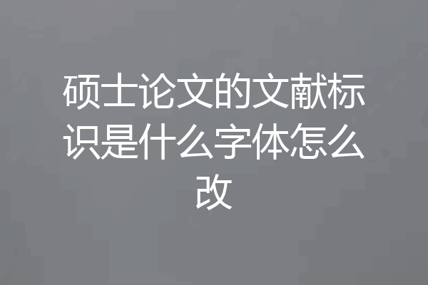 硕士论文的文献标识是什么字体怎么改