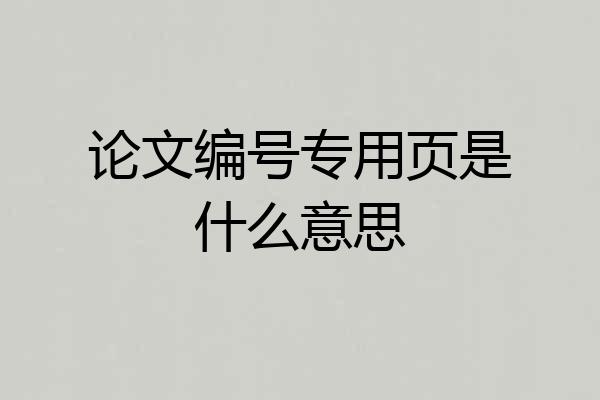 论文编号专用页是什么意思