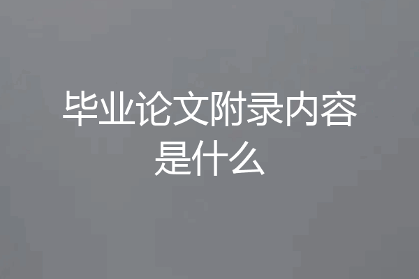 毕业论文附录内容是什么