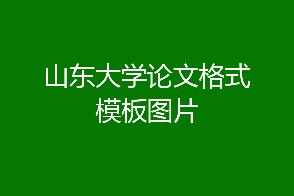 山东大学论文格式模板图片