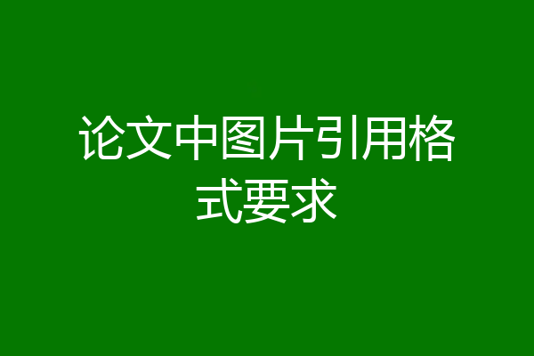 论文中图片引用格式要求