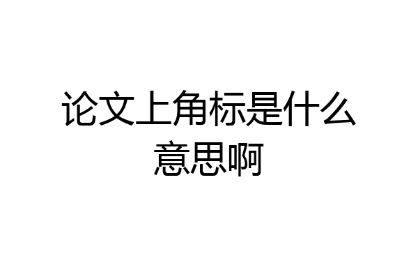 论文上角标是什么意思啊