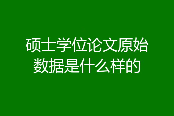 硕士学位论文原始数据是什么样的